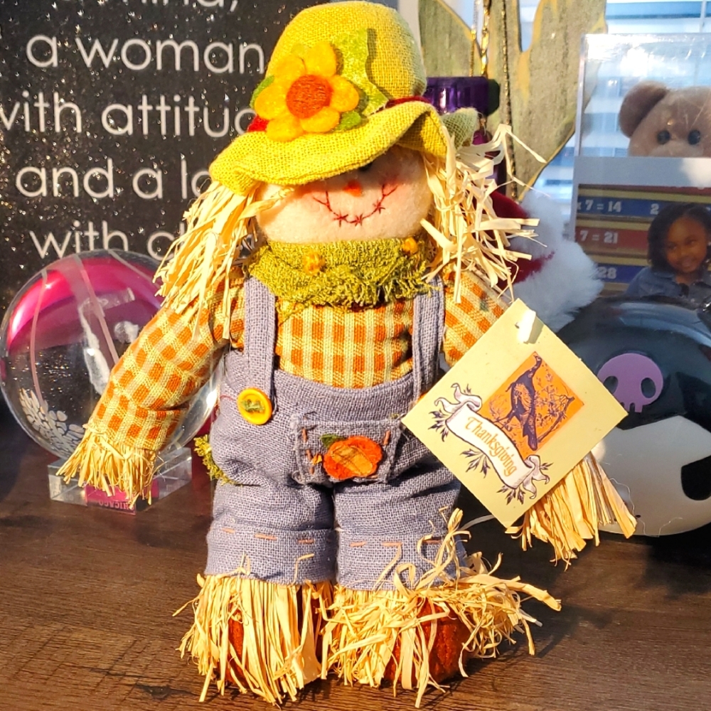 Adorable Scarecrow Decor with Hat